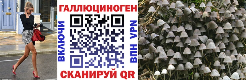 где продают   МЕГА ТОР  Псилоцибиновые грибы ЛСД  Кореновск 