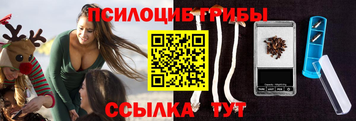 Галлюциногенные грибы Cubensis  где продают   Кореновск  Вход с VPN 